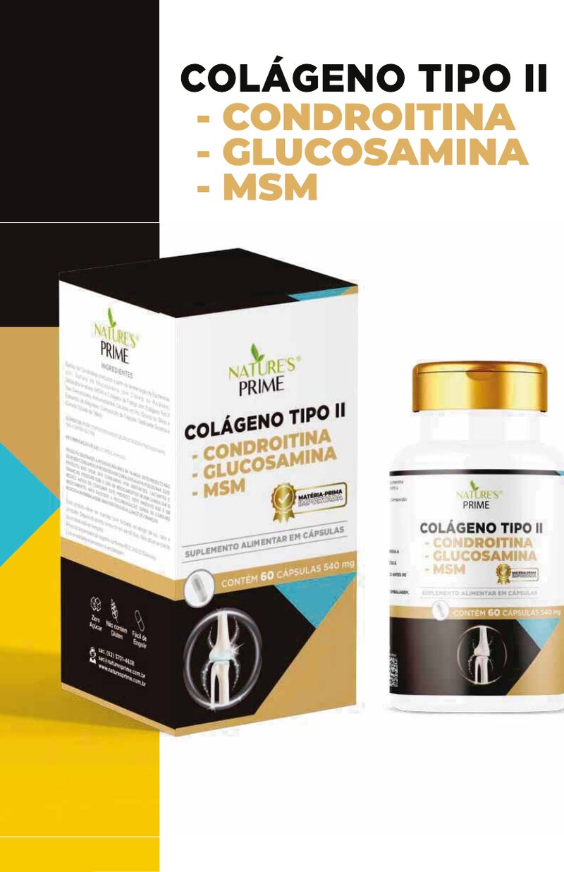 Colágeno Tipo II + Condroitina + Glucosamina + MSM